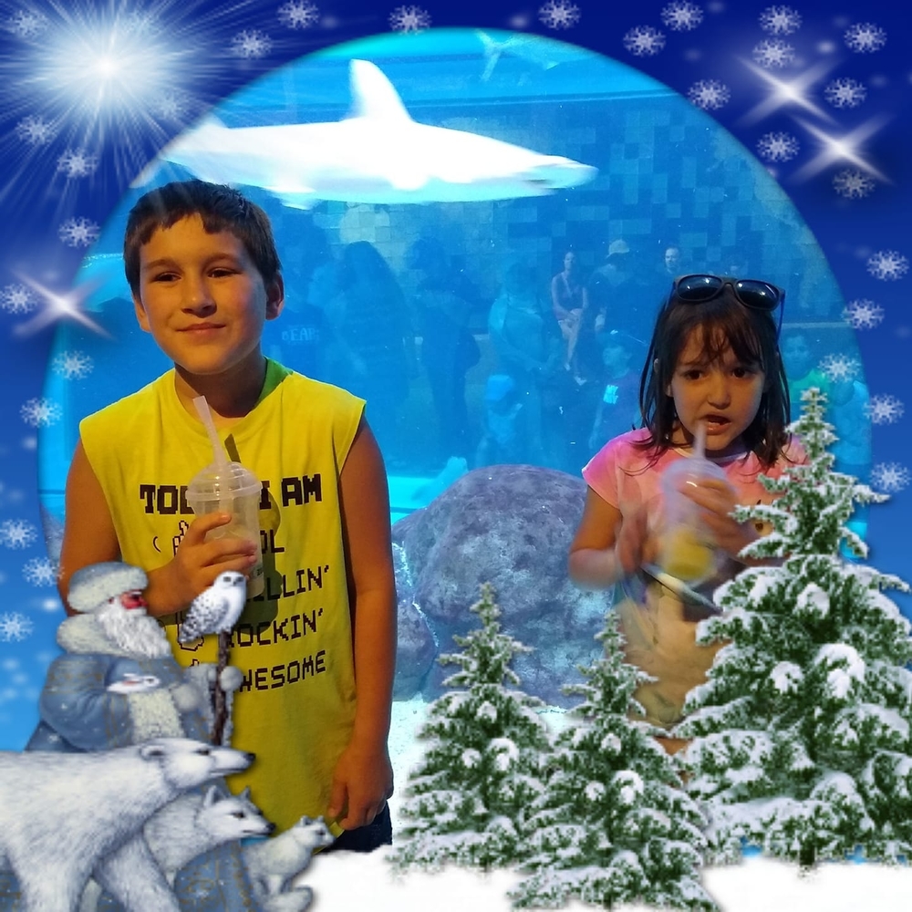 Meet your Posher, Justin